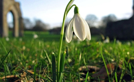На вихідних на Сумщині - до плюс 14 та без опадів: прогноз погоди