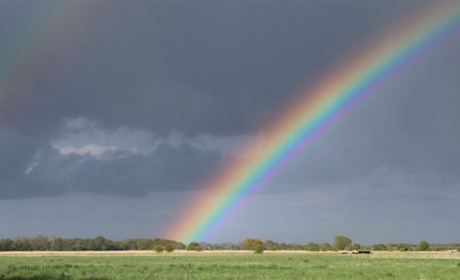 Погода в Кагарлику та Ржищеві на тиждень - з 12 по 18 червня