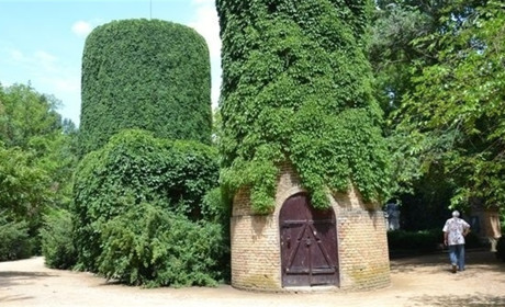 Як загарбники віджимають заповідник "Асканія-Нова"