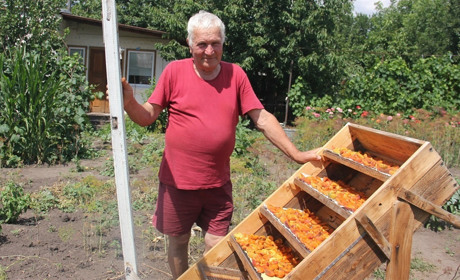 «Ловить» сонце і сушить фрукти: на Калинівщині сільський умілець виготовив пересувну сушарку