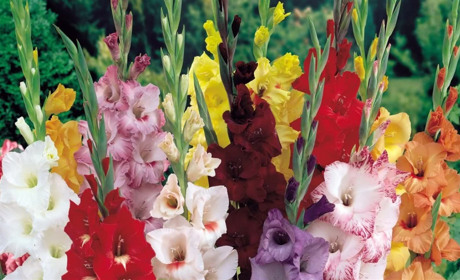 Как провести в Мелитополе и Мелитопольском районе выходные дни 10-11 августа