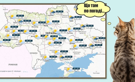 Невеликі короткочасні дощі, місцями грози і до 26 тепла: прогноз погоди на Сумщині та в Україні
