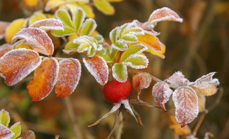 Тумани та заморозки: прогноз погоди на тиждень