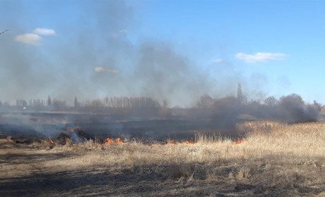 На Переяславщині через спалювання сухої трави горів будинок. В області – 21 пожежа за добу