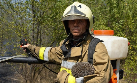 ​​​​​​​На попелищі свідомості: рекорд пожеж на Первомайщині як дзеркало національної біди
