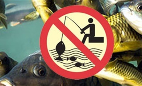 З 11 квітня на Хмельниччині стартує нерестова заборона на вилов водних біоресурсів