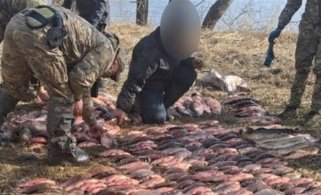 Збитки понад мільйон: на Золотоніщині викрили масштабне браконьєрство у заказнику