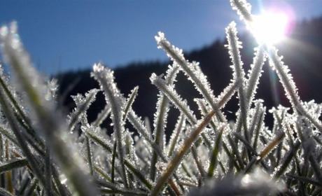 Найближчими днями сумські синоптики прогнозують сильні нічні заморозки