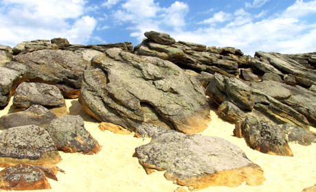 Что увидеть мелитопольцам и приезжим на Каменной Могиле во время карантина? Всё, кроме...