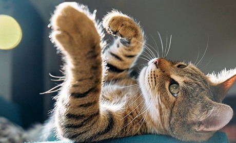 Погодні рекорди: така температура спостерігалася вперше за 80 років