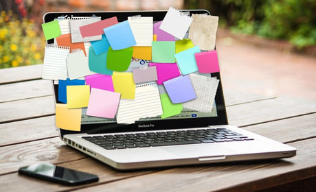 Закам’янілі молюски та календарики з Януковичем: що ще неординарного продають сватівчани на OLX