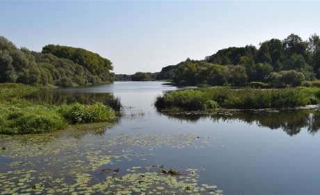 Купатися на пляжі в Новограді не варто: результати дослідження води в Случі