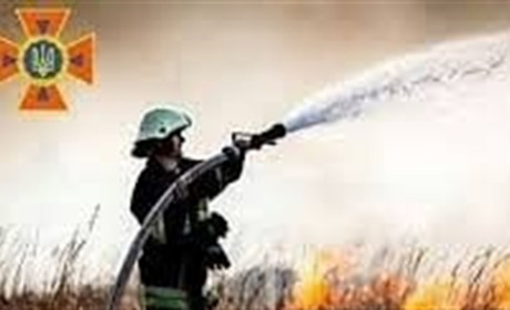 В селі Тимонове палій сухої трави заплатив штраф