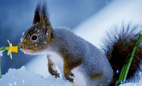 Якою погодою з нами попрощається зима: прогноз синоптиків