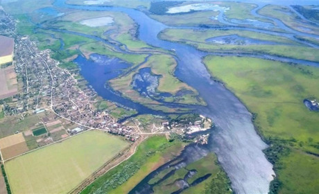 Підірвали ГЕС - тепер їдять мишей