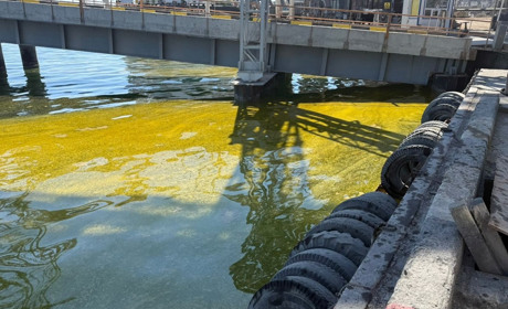 Розлив олії у Чорноморську через ворожу атаку: якими будуть наслідки для екології