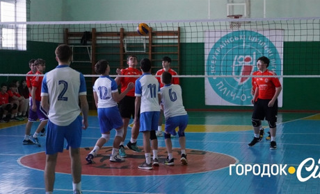 У Городку визначилися найсильніші волейбольні команди «Пліч-о-пліч. Всеукраїнські шкільні ліги»