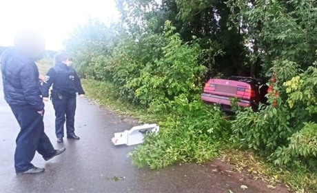 У селищі Вороніж водій в'їхав у дерево і потрапив у лікарню (відео)