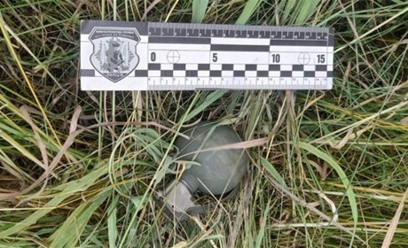 На Черкащині службова собака виявила гранату