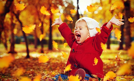 Прийшло бабине літо! Прогноз погоди від синоптиків на середу, 8 вересня