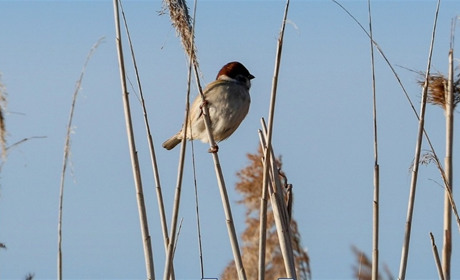 Радіаційний стан навколо Хмельницької АЕС за минулий тиждень