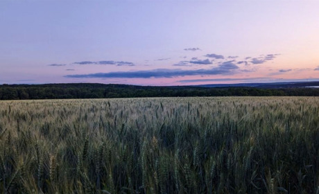 Перший місяць літа піде від нас із дощиком... Прогноз погоди на 28-30 червня