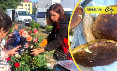 У Переяславі на базарі за кілограм білих грибів просили 350 гривень, а за саджанець троянди – 100