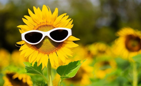 Погода на вихідні: що прогнозують синоптики Сумщини та України