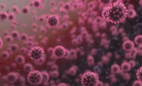 Статистика на 4 листопада. Вараш – 131 хворіє, 674 одужали, Володимиреччина: 149 хворіє, 440 одужали