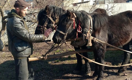 «Екзотика» на міських вулицях…