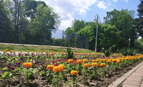 Тиждень розпочнеться з грозами та спекою: прогноз погоди на тиждень