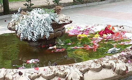 У Херсоні вандали знищили насаджені квіти в одному з парків: комунальники прибирають