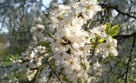 Как провести в Мелитополе выходные дни 13-14 апреля