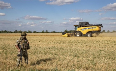 РФ продовжує вивозити агропродукцію з лівобережжя Херсонщини