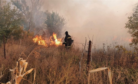 За минулу добу у Сватівському районі сталася 21 пожежа: що і де горіло