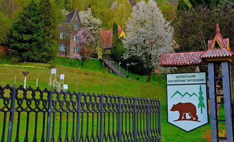 Карпатський біосферний заповідник номіновано на найкращий природній парк: триває голосування