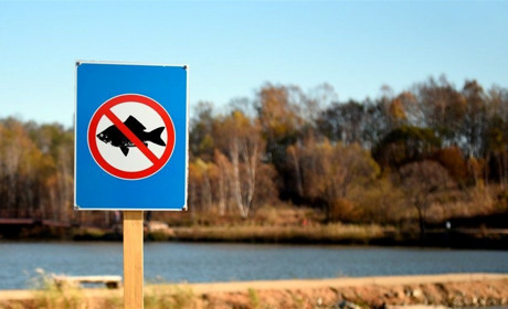 На Житомирщині затвердили перелік зимувальних ям: де заборонено ловити рибу до весни 2026