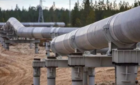 Звягельський суд виніс вирок двом чоловікам за крадіжку нафти на суму понад 350 тисяч гривень