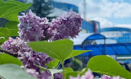 Радіаційний стан навколо Хмельницької АЕС за минулий тиждень
