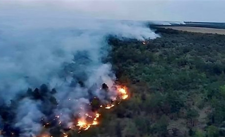 Шостка вночі задихається від диму: наслідки ворожих обстрілів, через які горять ліси