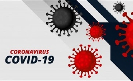 В Україні рекордна кількість інфікованих: скільки випадків COVID-19 діагностували у Новограді