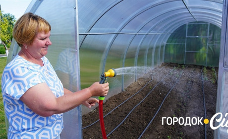 У стаціонарне відділення «Доброта» передали теплицю: городоччани вже вирощують овочі та зелень