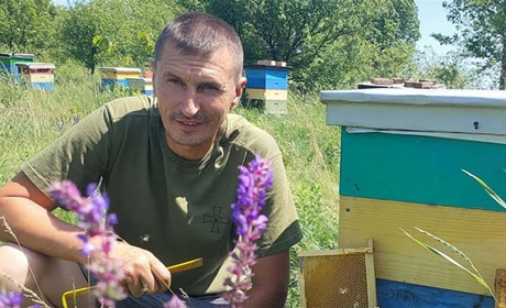 Ветеран із Полтавщини розвиває пасіку на 500 бджолосімей і планує створити гостьові будиночки