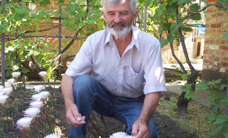 530 цветков кактуса расцвели не в Ботаническом саду: необычное увлечение пенсионера