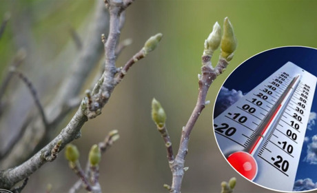 Погода у Нетішині та в області на 27 березня