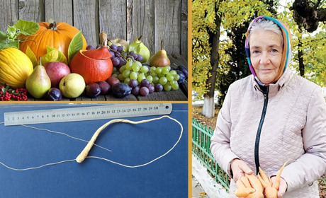 Чортків'янка Валентина Славінська: «Природа жартує, працю винагороджує»