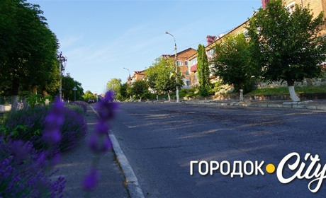 У центрі Городка стане менше дерев. Комунальники зріжуть два каштани та липу