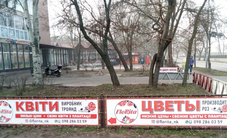 Коли мова має значення