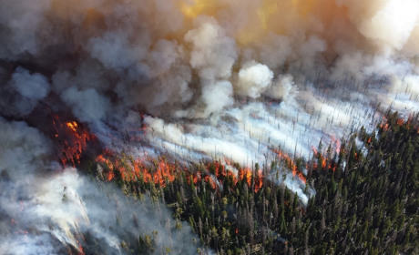 У Сватівському районі і на Луганщині оголосили надзвичайний рівень пожежної небезпеки