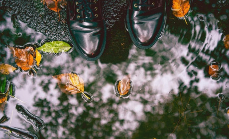 Погода в Кагарлику та Ржищеві на тиждень - із 14 по 20 жовтня